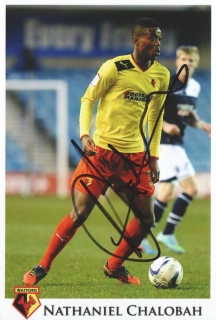 Nathaniel Chalobah (Watford)