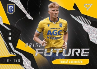 Tadeáš Vachoušek (Teplice) /130