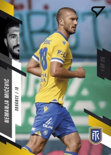 Nemanja Mićević (Teplice) /25