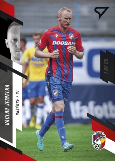 Václav Jemelka (Viktoria Plzeň) /25