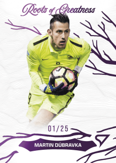 Martin Dúbravka (Slovan Liberec) /25