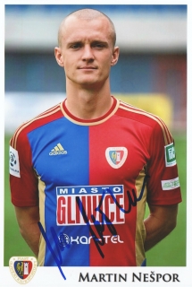 Martin Nešpor (Piast Gliwice)